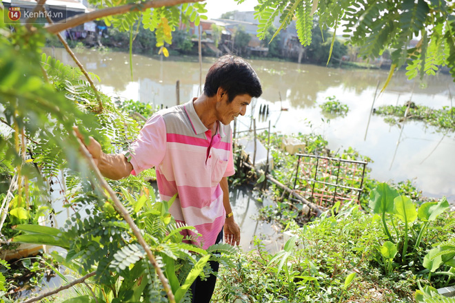 Vợ chồng nhặt ve chai ở miền Tây trả lại tiền tỷ cho người đánh rơi: Lỡ người ta tự tử thì sao? Mình nghèo thì chịu đi, hông lấy của ai hết trơn á!-20