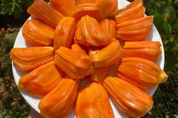 Xuất hiện loại mít lạ, bé bằng nắm tay nhưng chi chít múi, chị em thi nhau đặt mua-5