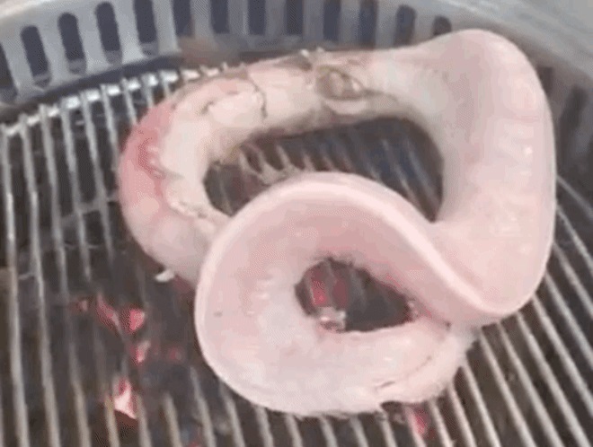 Loài cá đặc sản Bình Định bỏ lên vỉ nướng vẫn ngoe nguẩy, nhìn thì kinh hãi, ăn thì cực ngon-1