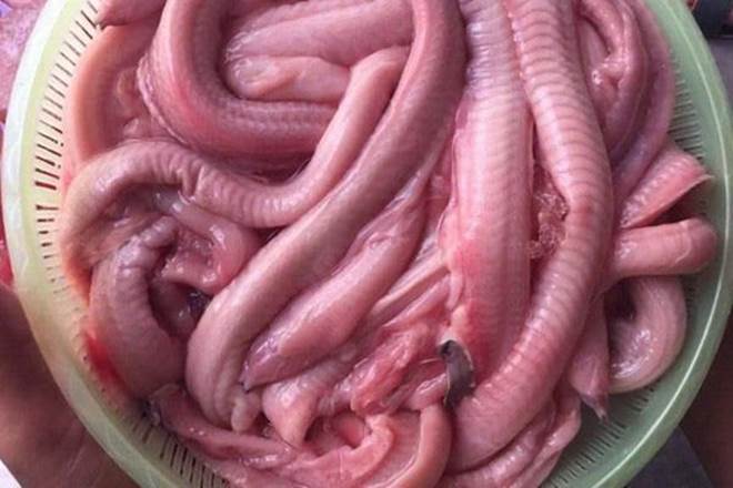 Loài cá đặc sản Bình Định bỏ lên vỉ nướng vẫn ngoe nguẩy, nhìn thì kinh hãi, ăn thì cực ngon-3