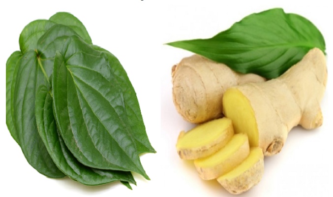 Mẹo trị say xe đơn giản, hiệu quả từ một loại lá sẵn ngay trong vườn-1