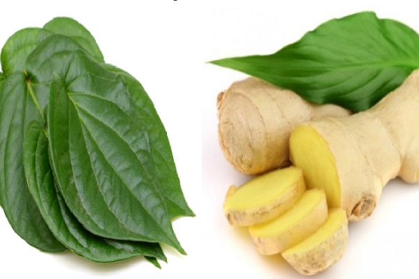 Từ vụ thanh niên thái hành bị sốc: Chỉ cần thắp một cây nến thì thái hành không còn là điều đáng sợ nữa-3