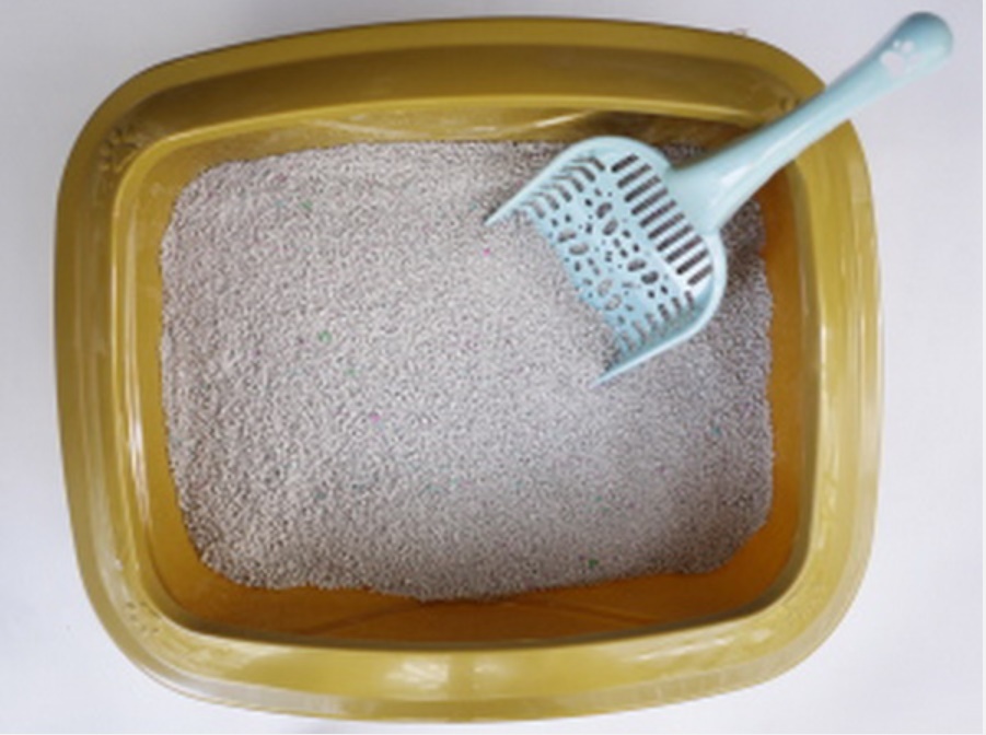 15 mẹo hay giúp khử mùi giày một cách dễ dàng, trời có nóng đến mấy cũng không khiến bạn mất tự tin với những người bên cạnh-9