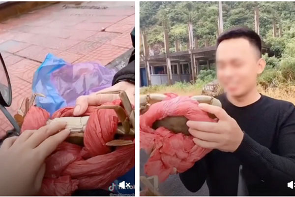 Bóc mẽ cua biển Đồ Sơn bị cột dây gian lận nhưng nhóm bạn trẻ lại khiến không ít người phẫn nộ vì hành động kém duyên với người dân-1