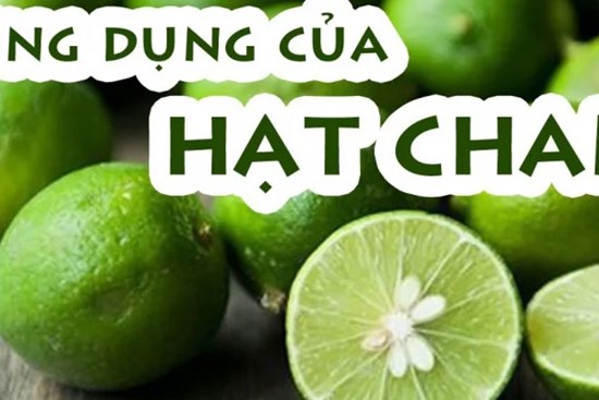 Công dụng bất ngờ từ hạt chanh, ai không biết tiếc hùi hụi