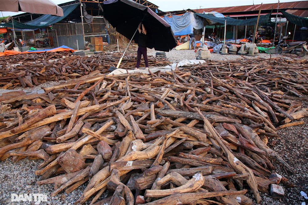 Độc lạ chợ củi vụn có giá tiền triệu một cân-2