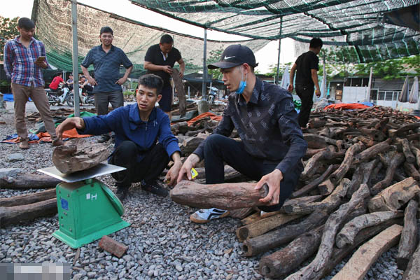 Sự thật lõi bò Úc, cua siêu gạch Na Uy giá rẻ bán đầy chợ-6