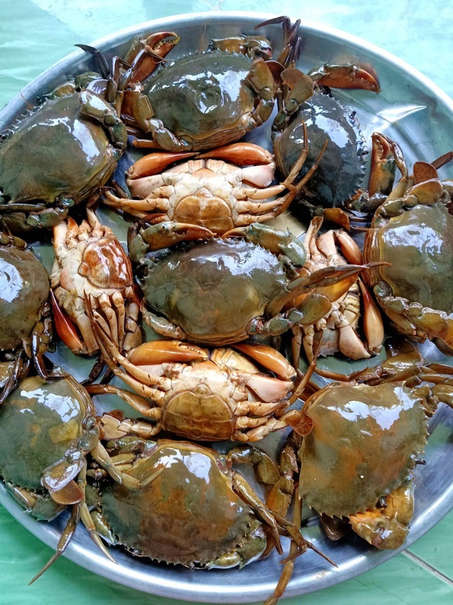 Sự thật lõi bò Úc, cua siêu gạch Na Uy giá rẻ bán đầy chợ-2