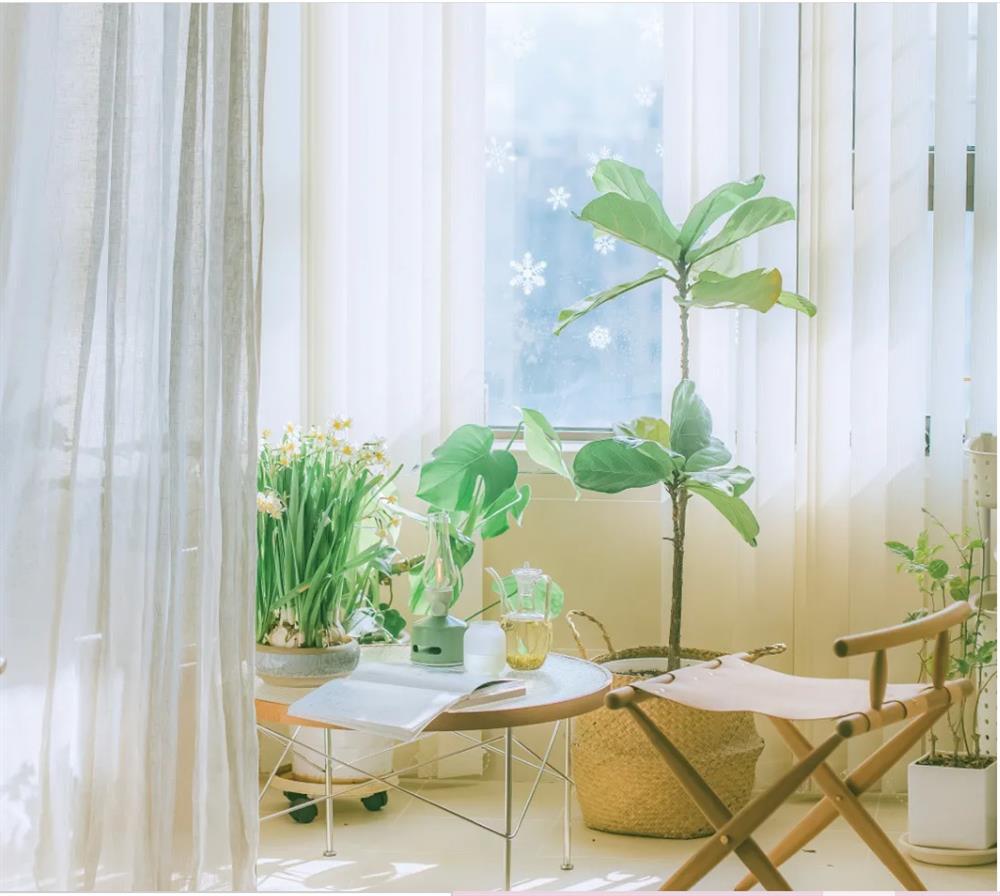 Căn nhà mỗi mùa đẹp một kiểu của chàng kỹ sư cơ khí 40 tuổi khiến ai cũng ao ước được ở một lần-13