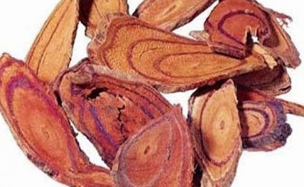 Việt Nam có giống cây chảy máu, bán giá trăm nghìn/kg mà ùn ùn người mua-4