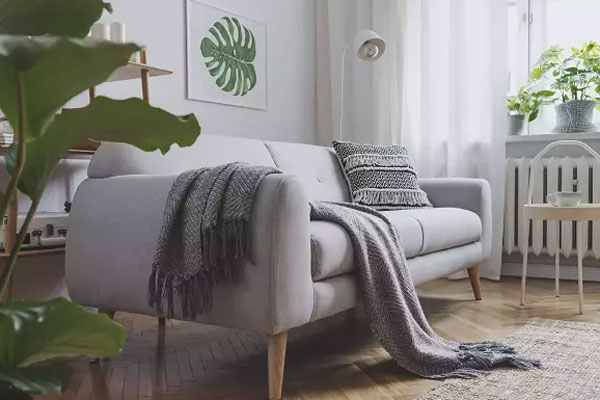 Những vị trí đắc địa đặt cây phong thủy mang lại thịnh vượng, tài lộc cho gia chủ-3