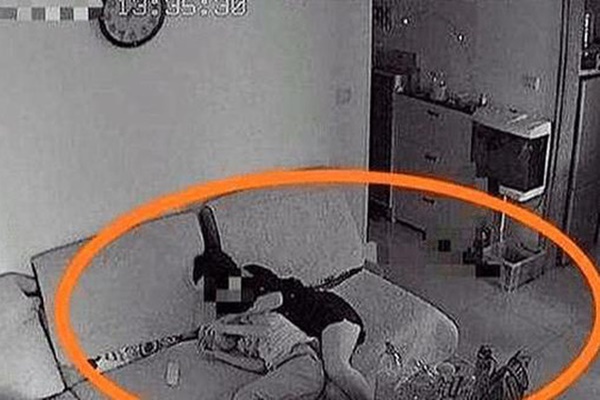 Bài tập tiếng Việt yêu cầu viết 1 câu, cậu nhóc chỉ trả lời 1 từ duy nhất khiến dân tình ôm bụng cười, cô giáo bó tay vì không thể bắt lỗi-5