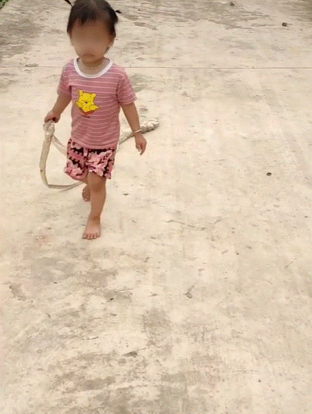 Bé gái hùng hổ xách con rắn dài gần 2 mét đi chơi như thú cưng khiến người thân được phen hú vía-2