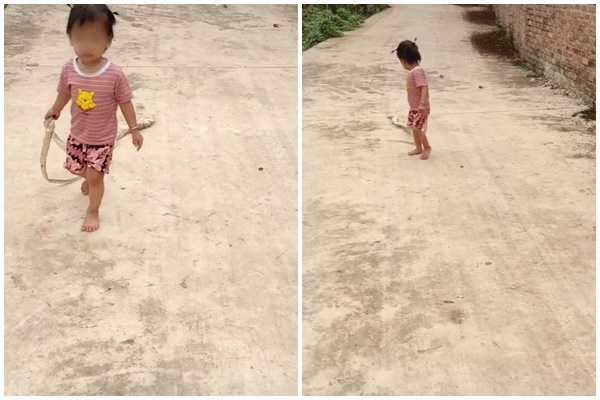 Trễ giờ học tới nơi mà em trai ăn mãi không xong, chị gái xuất chiêu cực ngầu trước sự kinh ngạc tột độ của bố-2