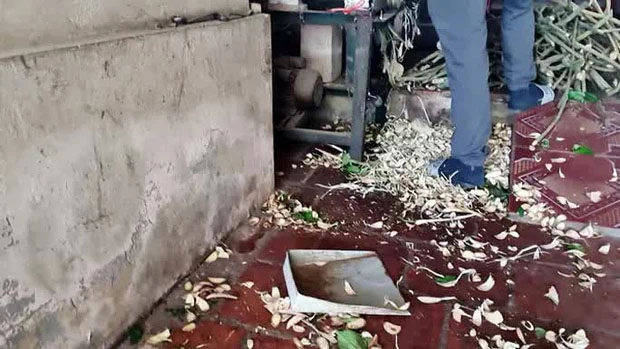 ĐIỀU TRA: Vạch trần kỹ nghệ tạo... thần y-1