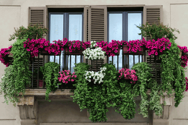 Mua chung cư nhớ 4 nguyên tắc này để tránh bệnh tật, xui xẻo, càng ở càng có lộc-3