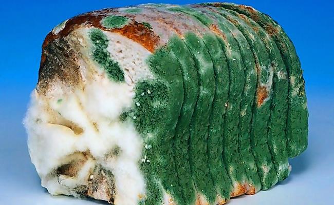 Lạ lùng những thứ càng mốc càng... đắt tiền-1