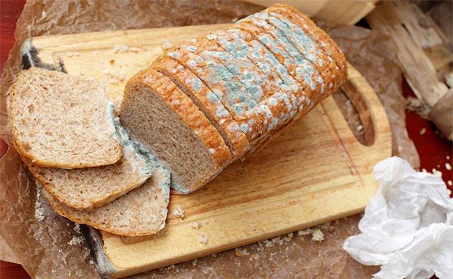 Lạ lùng những thứ càng mốc càng... đắt tiền-2