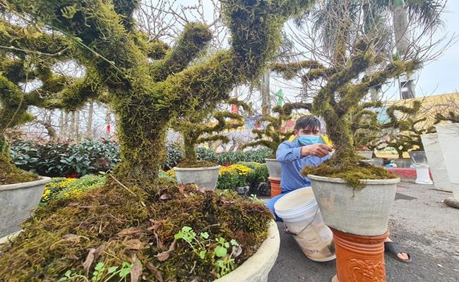 Lạ lùng những thứ càng mốc càng... đắt tiền-22