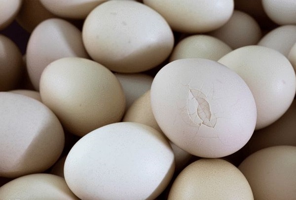 Chọn trứng hãy ghi nhớ 4 không mua 3 không ăn, sau khi tìm hiểu ai cũng gật gù vì an toàn và lành mạnh-2
