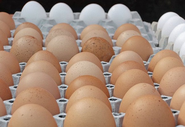 Chọn trứng hãy ghi nhớ 4 không mua 3 không ăn, sau khi tìm hiểu ai cũng gật gù vì an toàn và lành mạnh-3