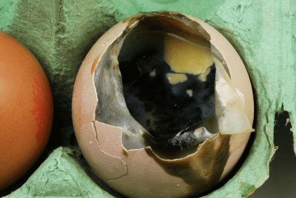 Chọn trứng hãy ghi nhớ 4 không mua 3 không ăn, sau khi tìm hiểu ai cũng gật gù vì an toàn và lành mạnh-4