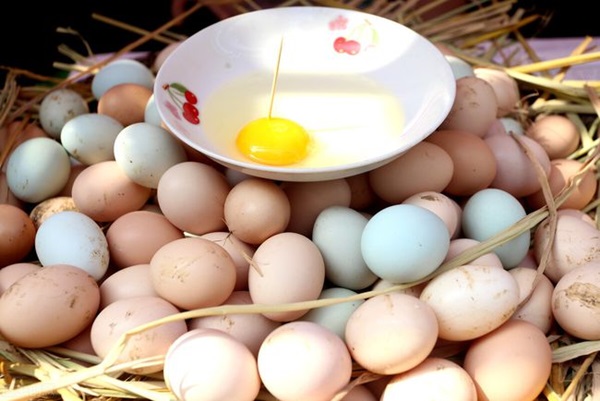 Chọn trứng hãy ghi nhớ 4 không mua 3 không ăn, sau khi tìm hiểu ai cũng gật gù vì an toàn và lành mạnh-8
