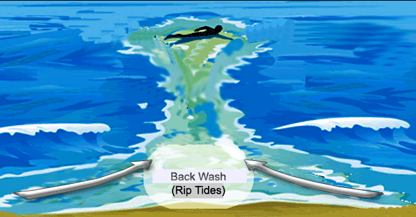 Dòng chảy xa bờ có thể cướp mất sinh mạng trong phút chốc: Đi tắm biển làm sao để nhận biết và thoát khỏi cửa tử?-3