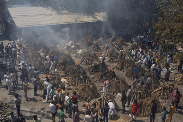 Thi thể chồng chất, Ấn Độ phải chặt cây trong công viên để hỏa táng-3