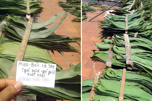 Thứ lá bỏ đi rụng đầy bờ rào quê, xuất bán nước ngoài thu bộn tiền-2