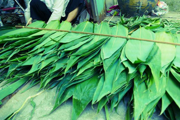 Thứ lá bỏ đi rụng đầy bờ rào quê, xuất bán nước ngoài thu bộn tiền-1