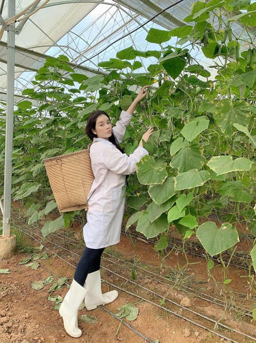 Lý Nhã Kỳ thu hoạch trái cây, hoa và rau củ trong khu vườn 50 ha ở Đà Lạt-1