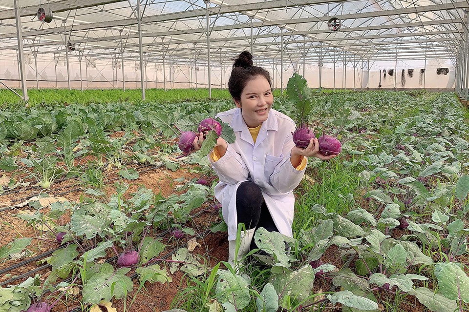 Lý Nhã Kỳ thu hoạch trái cây, hoa và rau củ trong khu vườn 50 ha ở Đà Lạt-3