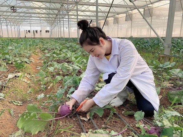 Lý Nhã Kỳ thu hoạch trái cây, hoa và rau củ trong khu vườn 50 ha ở Đà Lạt-4