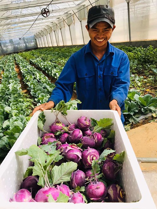 Lý Nhã Kỳ thu hoạch trái cây, hoa và rau củ trong khu vườn 50 ha ở Đà Lạt-5