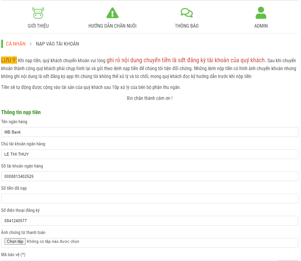 Tin vào chủ trang trại ở nước ngoài, hàng nghìn người nuôi bò online sập bẫy đa cấp, mất trắng hàng trăm triệu đồng-3