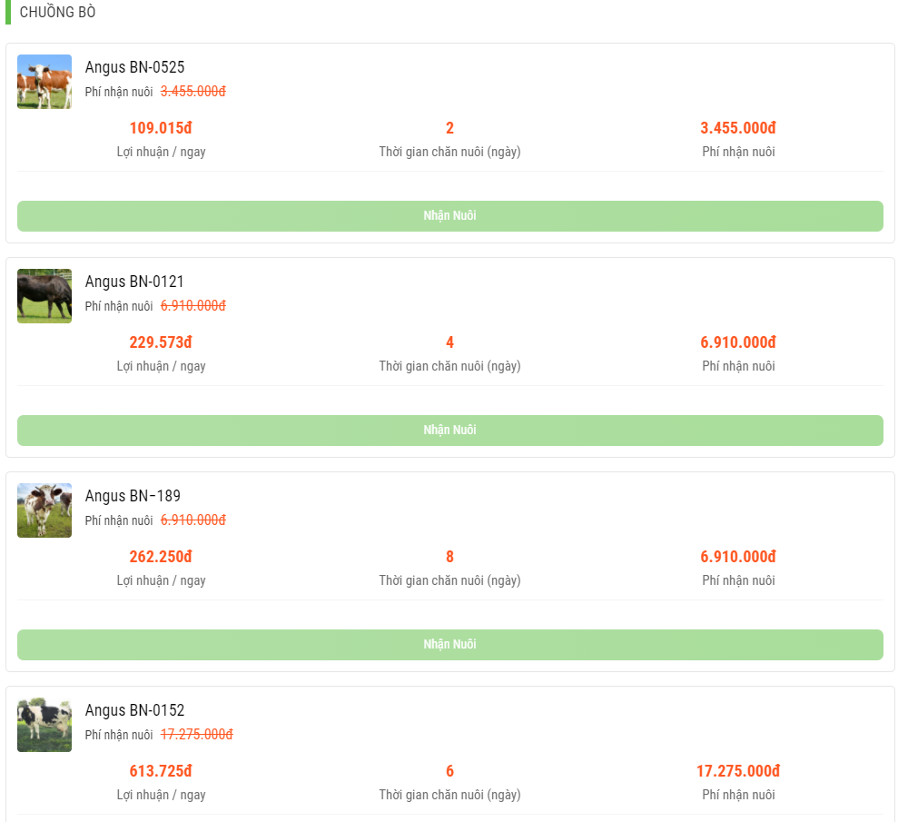 Tin vào chủ trang trại ở nước ngoài, hàng nghìn người nuôi bò online sập bẫy đa cấp, mất trắng hàng trăm triệu đồng-5