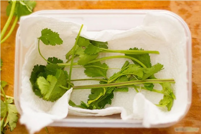 Rau mùi để cả tuần không hỏng cứ làm theo cách đơn giản này-1