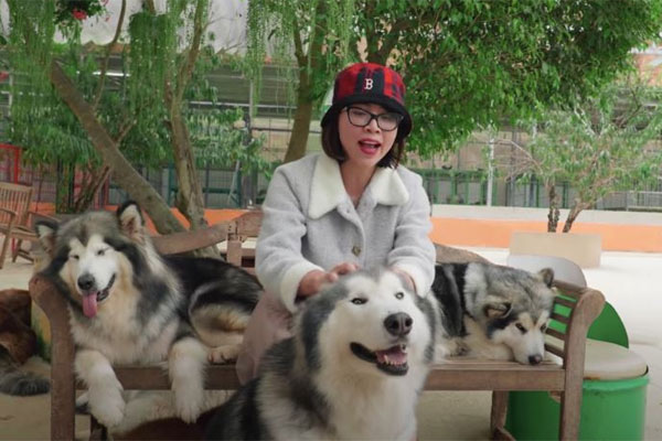 Thơ Nguyễn đổi nghệ danh mở kênh mới, bật quảng cáo-2