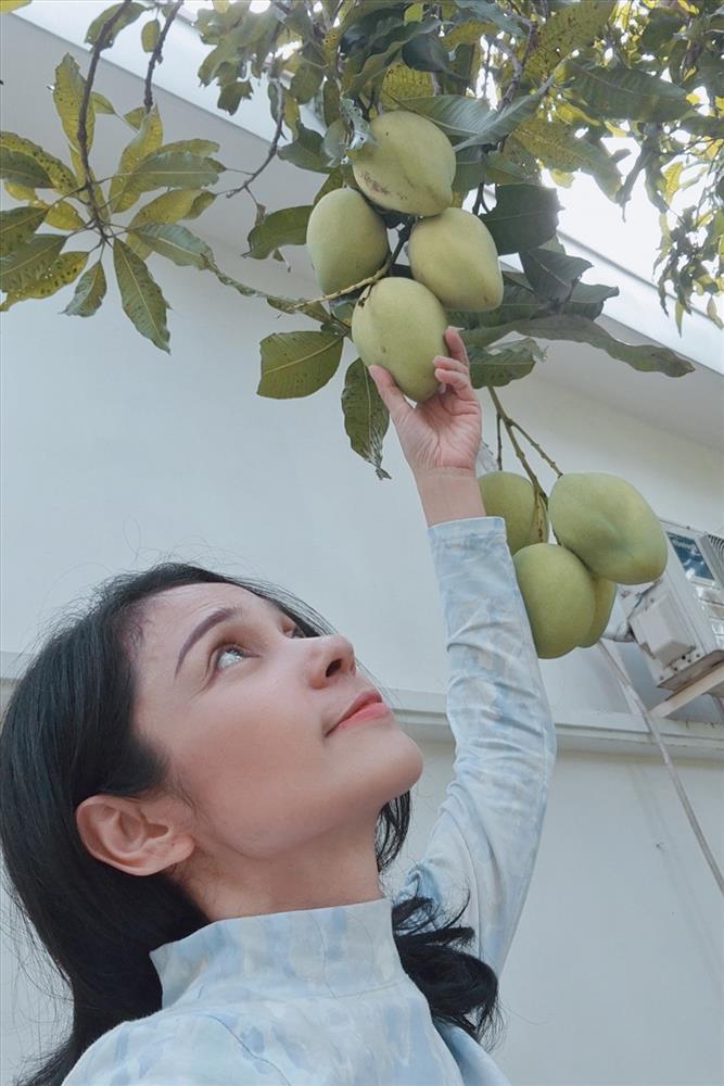 Cùng Việt Trinh đi thu hoạch nhiều loại trái cây trong vườn 2.500m2-6