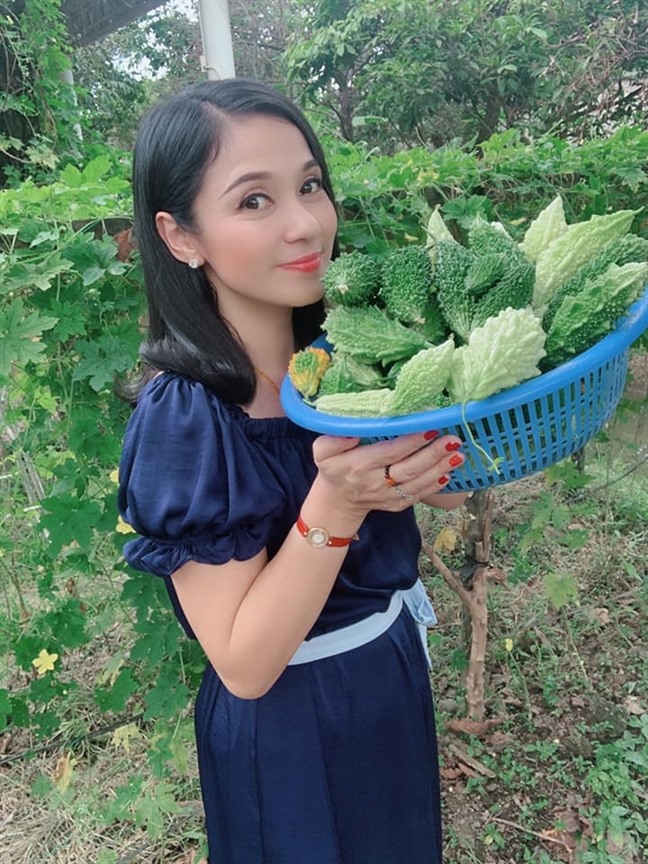 Cùng Việt Trinh đi thu hoạch nhiều loại trái cây trong vườn 2.500m2-9