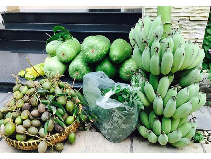 Cùng Việt Trinh đi thu hoạch nhiều loại trái cây trong vườn 2.500m2-14