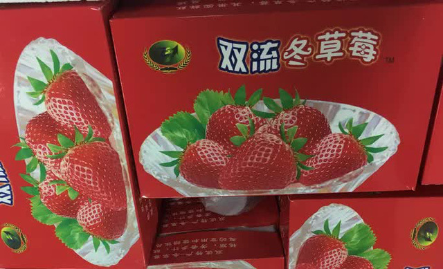 Phát hiện lô dâu tây Trung Quốc nhập lậu vào Đà Lạt bằng đường hàng không-2