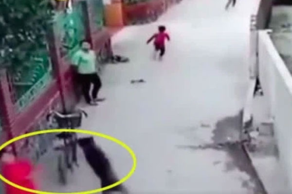 Clip: Nữ sinh lấp ló sau chiếc xe buýt rồi bất ngờ băng qua đường, cảnh tượng sau đó khiến ai nấy hãi hùng-2