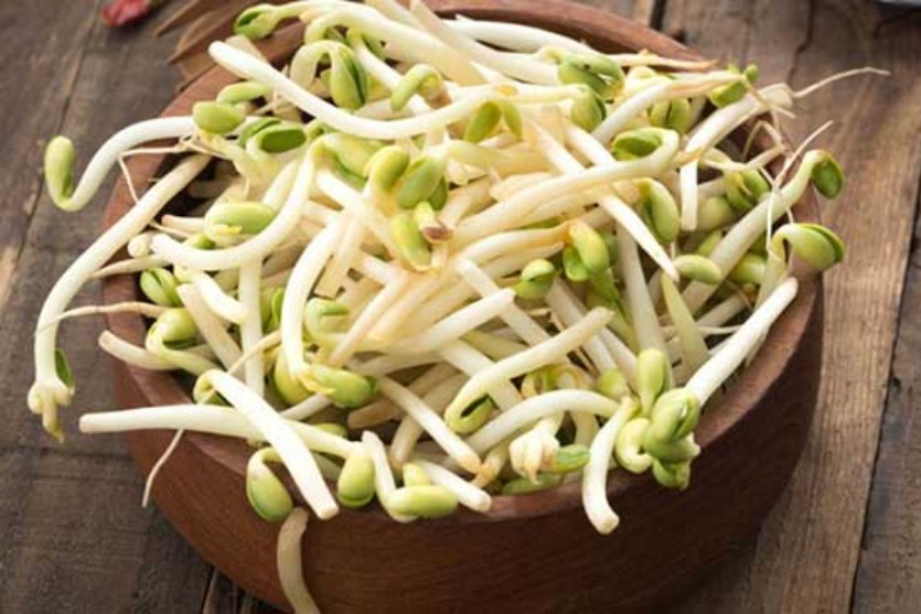 Thấy giá đỗ có 3 dấu hiệu lạ này tuyệt đối không được mua-1