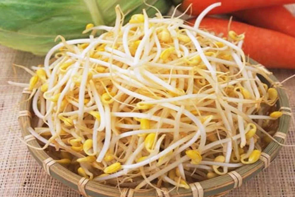 Thấy giá đỗ có 3 dấu hiệu lạ này tuyệt đối không được mua-2