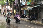 Hà Nội: Hàng loạt cây xanh bật gốc đổ rạp xuống đường sau cơn mưa lớn đầu mùa-10