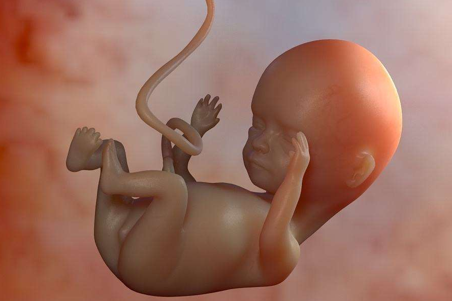 Mẹ bầu ốm nghén càng nặng con càng thông minh? Sự thật sẽ khiến bạn bất ngờ!-3