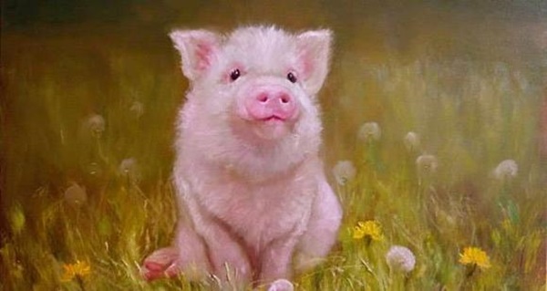 Nửa đầu tháng 5 dương lịch, Top 3 con giáp xua đuổi vận xui, may mắn ập tới, phát tài nhanh như vũ bão, làm gì cũng thành công-1