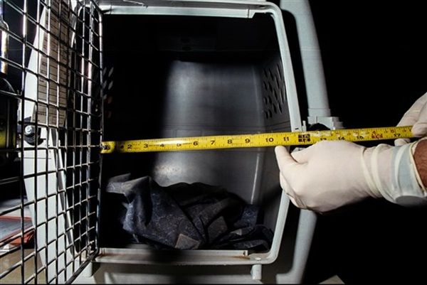 Cuộc đời ngắn ngủi của bé gái 3 tuổi chết tức tưởi dưới tay ác mẫu: Bị hành hạ, nhốt trong lồng chó, ngày được ra ngoài cũng là ngày cuối đời-4